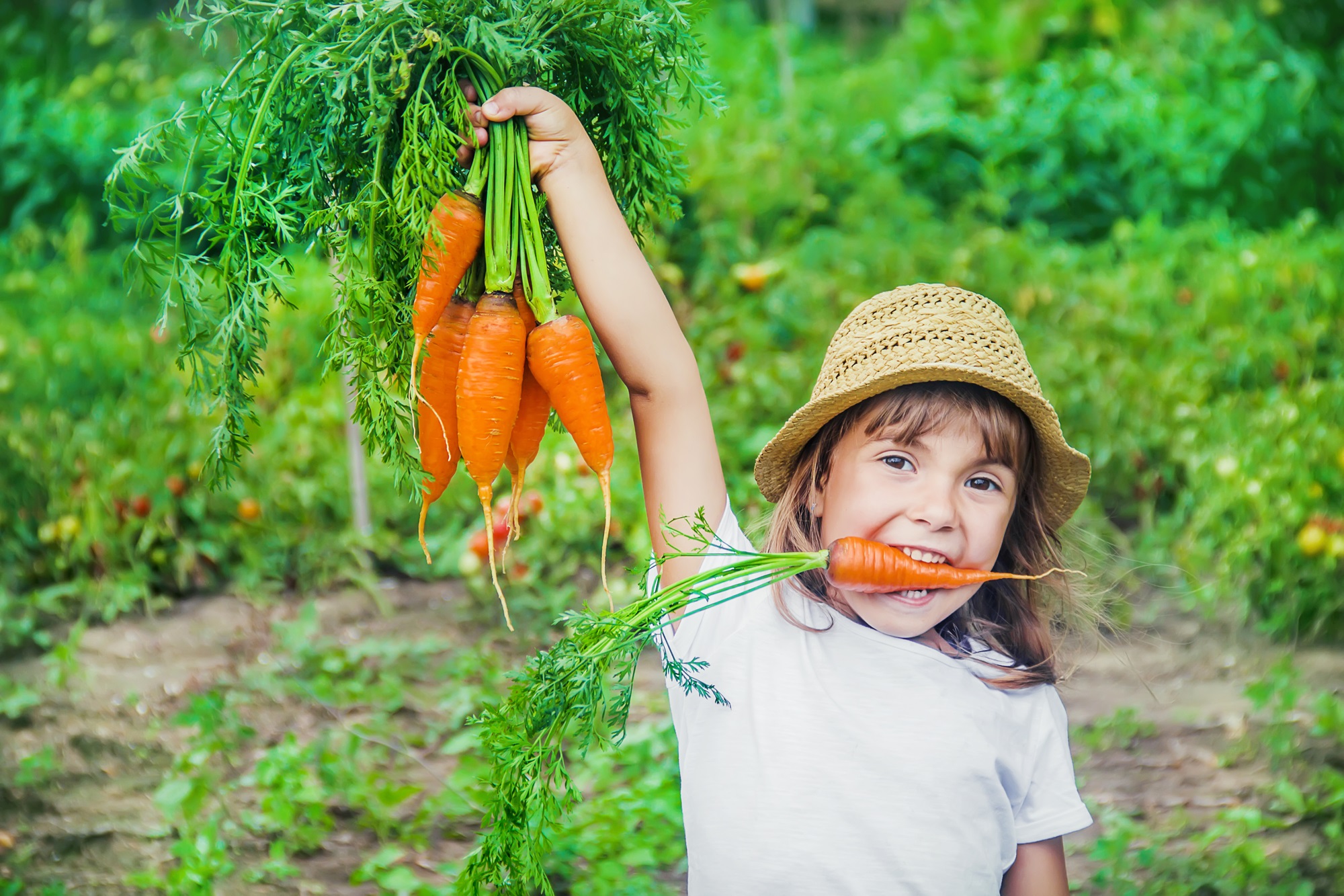 AdobeStock 248174856 — kopia