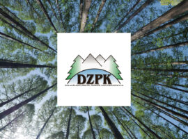 DZPK drzewa logo