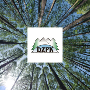 DZPK drzewa logo