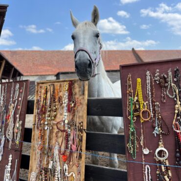 3459c558 206a 4b35 a577 3674661c8ddc 1