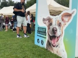 Gramy dla zwierzat SOPOT 2025 105