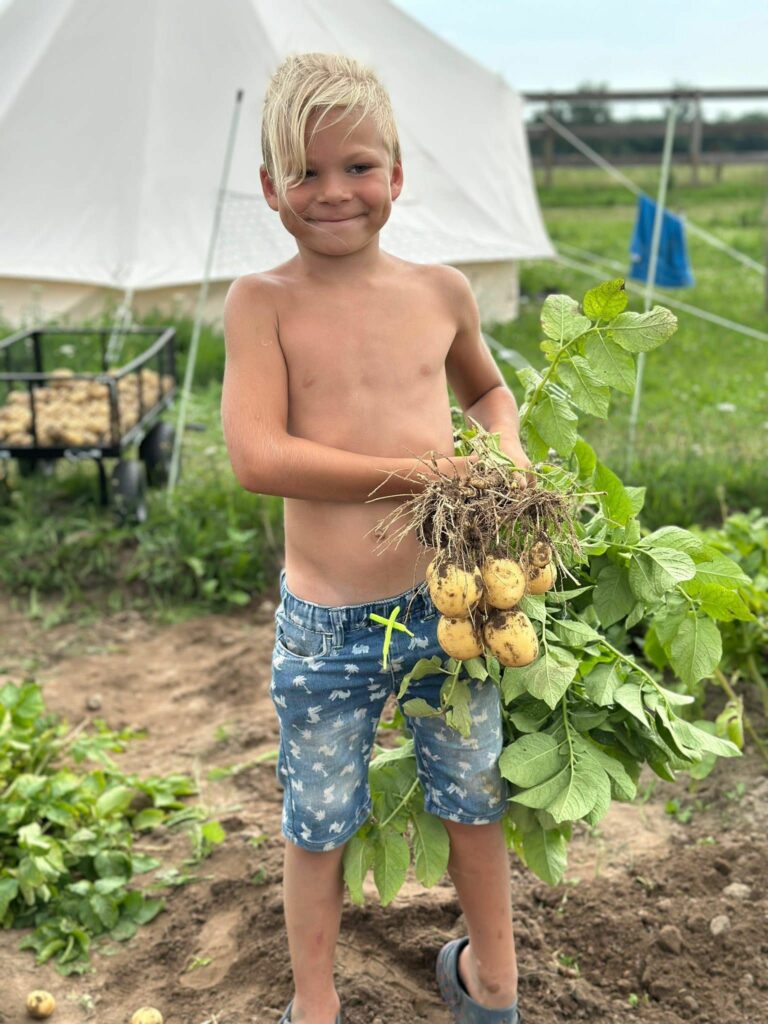 Modlimowo Wakacje w Gnoju 2025 opiekazwierzetaogrodwarzywa 4