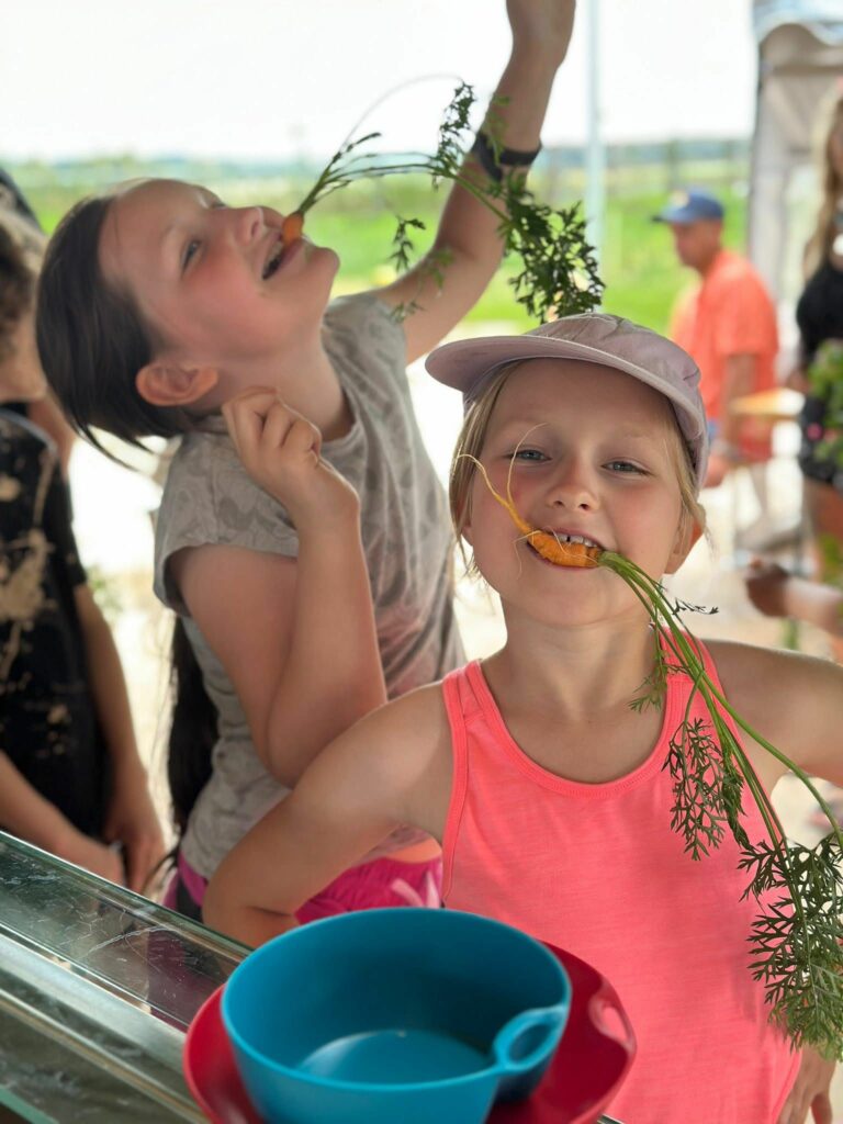 WhatsApp Image 2025 10 20 s17.10.06