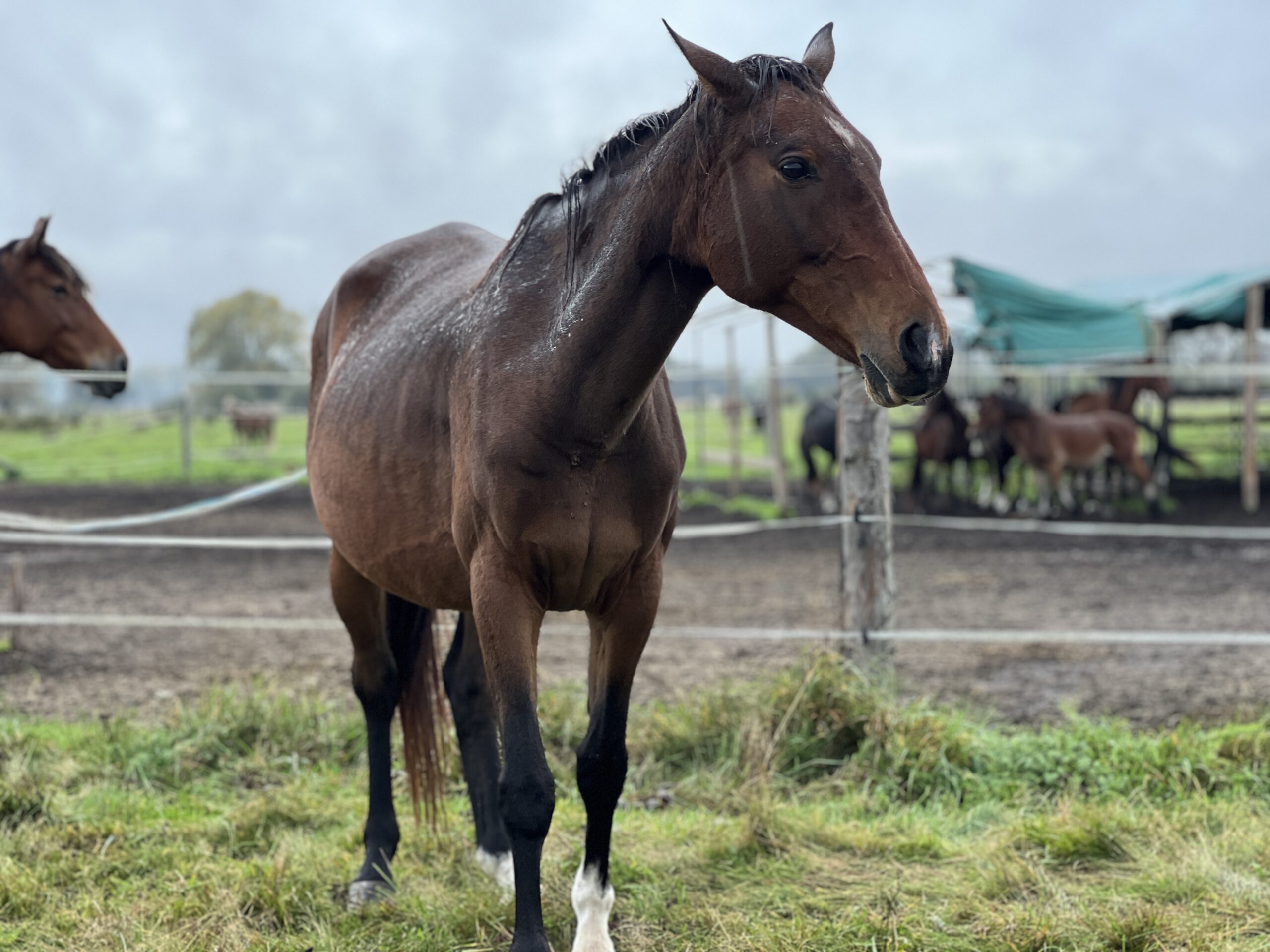 Rezerwat jesien 1 scaled