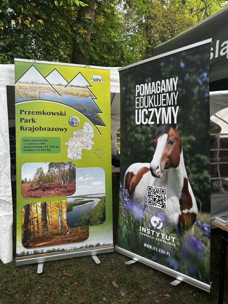 Dolnoslaskie Swieto Miodu i Wina 1